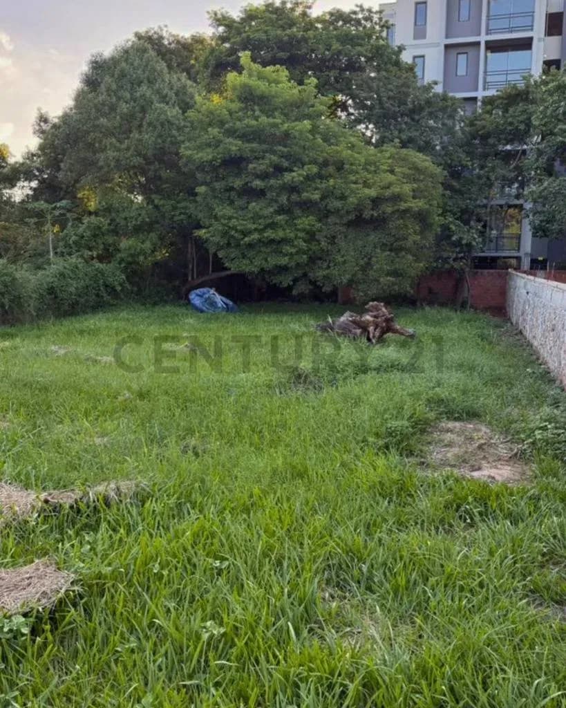 Terreno de 998m² en Venta en Campo Grande, Luque - Image 4