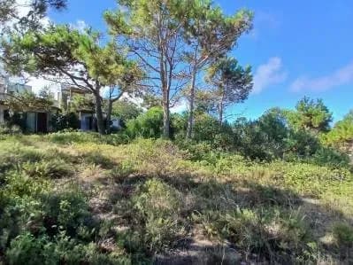 Terreno de 529m² en Venta en Punta del Diablo - Image 2