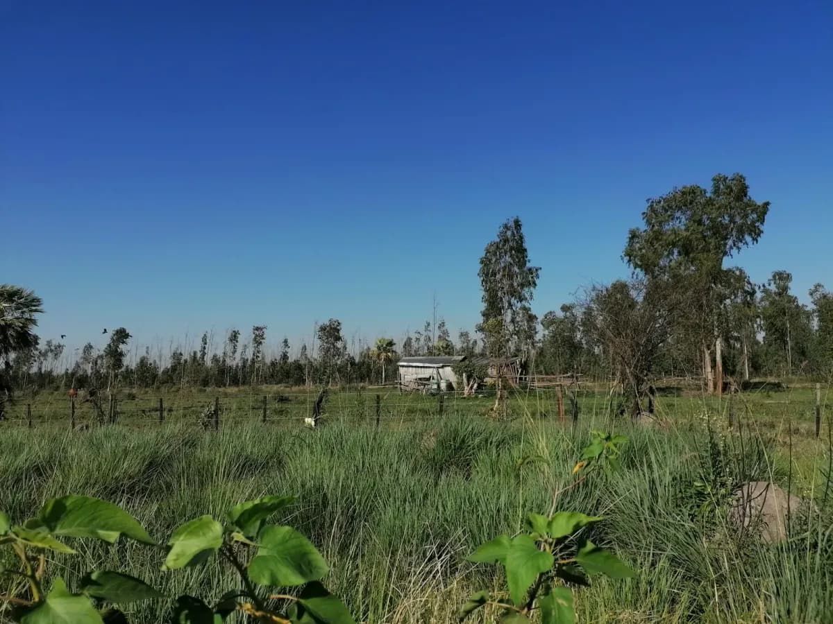 262m² Lot for Sale in Nueva Italia - Image 5