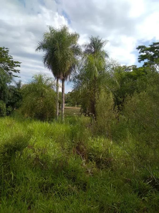 Terreno de 1,997m² en Venta en Ypacaraí - Image 16