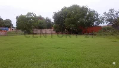 Listing by Patricia Yegros Smith