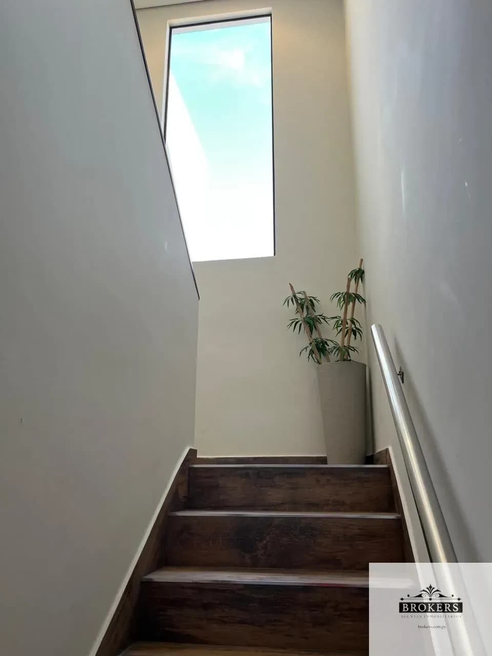 Casa de 4 dormitórios à venda em Santa Rosalina, San Bernardino - Image 10