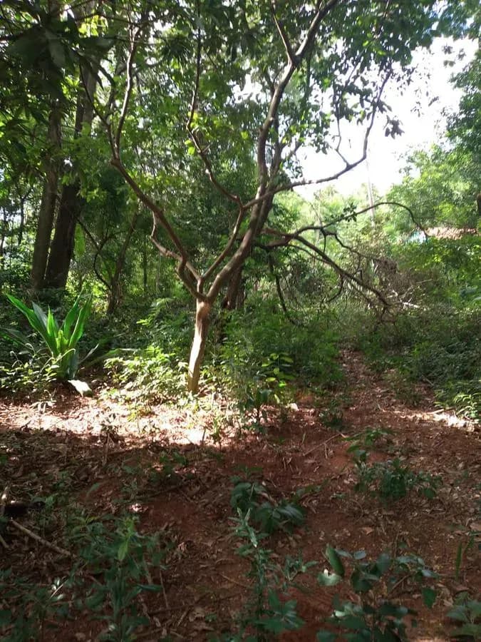 Terreno de 1,997m² en Venta en Ypacaraí - Image 18