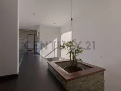 Casa de 4 dormitorios en Alquiler en El Pinar, Neptunia - Image 5