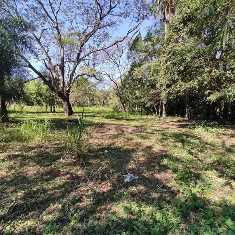 Land for Sale in Ypané - Image 3