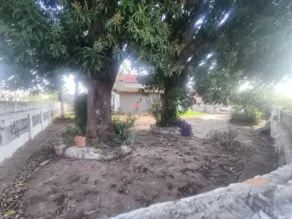 Casa de 2 quartos à Venda em Vista Alegre, Assunção - Image 4