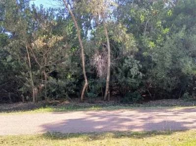 Terreno de 504m² en Venta en Barra del Chuy - Image 5