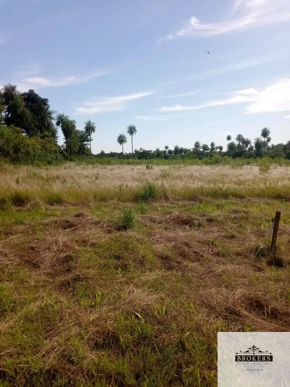 100,000m² Land for Sale in Ypacaraí - Image 4