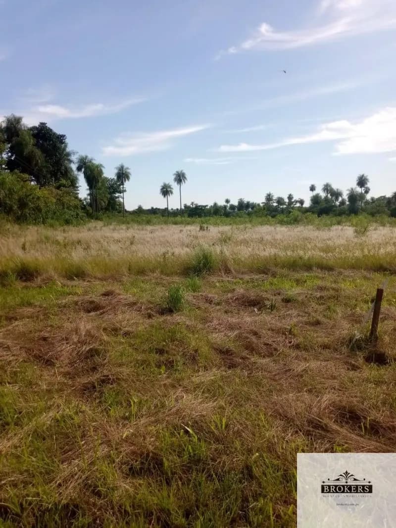 100,000m² Land for Sale in Ypacaraí - Image 4