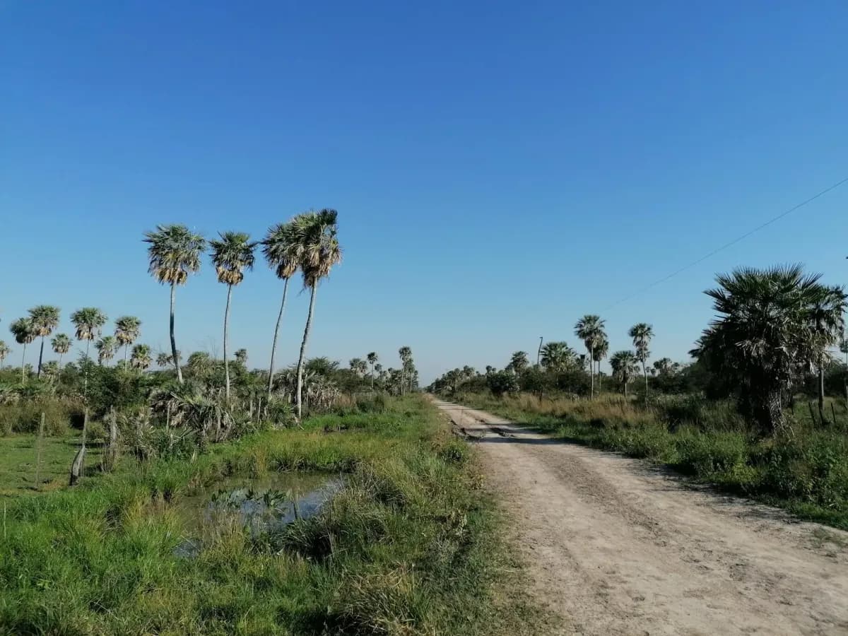 262m² Lot for Sale in Nueva Italia - Image 12
