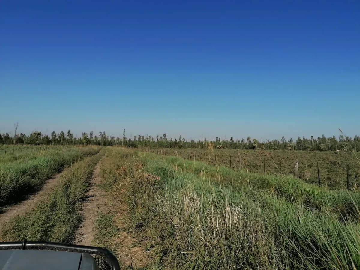 262m² Lot for Sale in Nueva Italia - Image 6