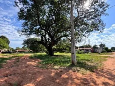 398.47m² Land for Sale in Tercer Barrio, Luque - Image 2