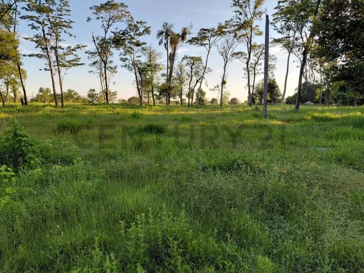 Terreno de 46.5m² à Venda em Coronel Oviedo - Image 10