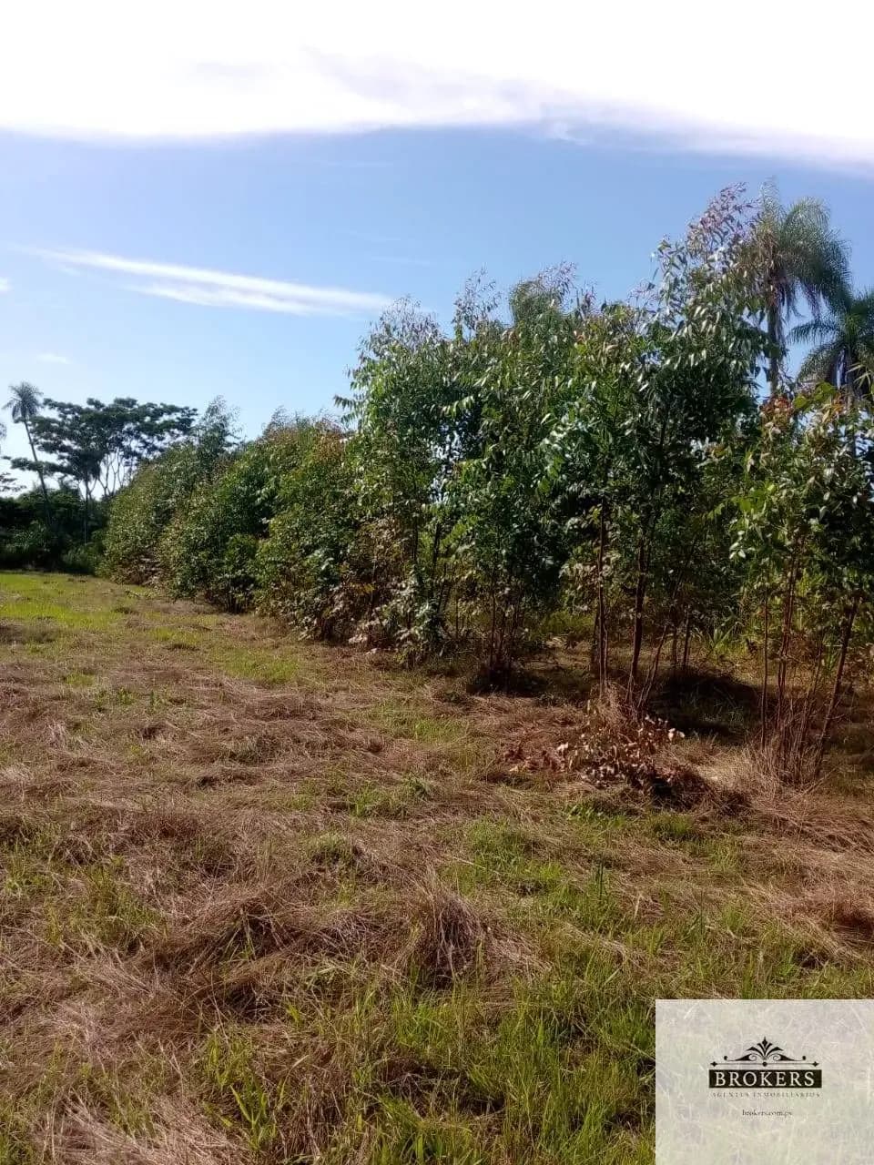 100,000m² Land for Sale in Ypacaraí - Image 3
