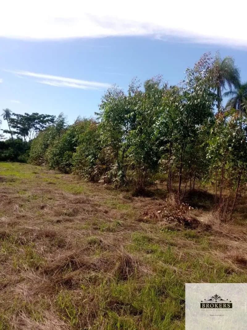 100,000m² Land for Sale in Ypacaraí - Image 3