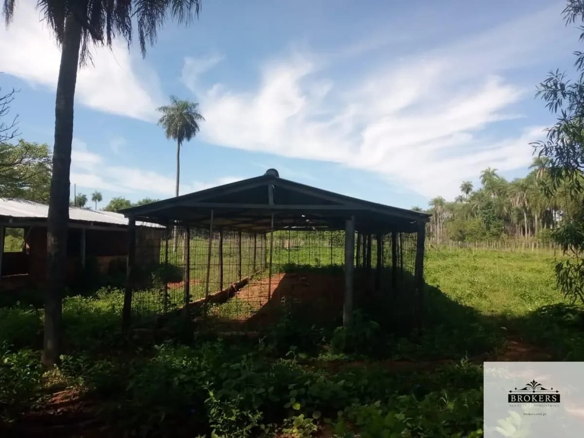 100,000m² Land for Sale in Ypacaraí - Image 18