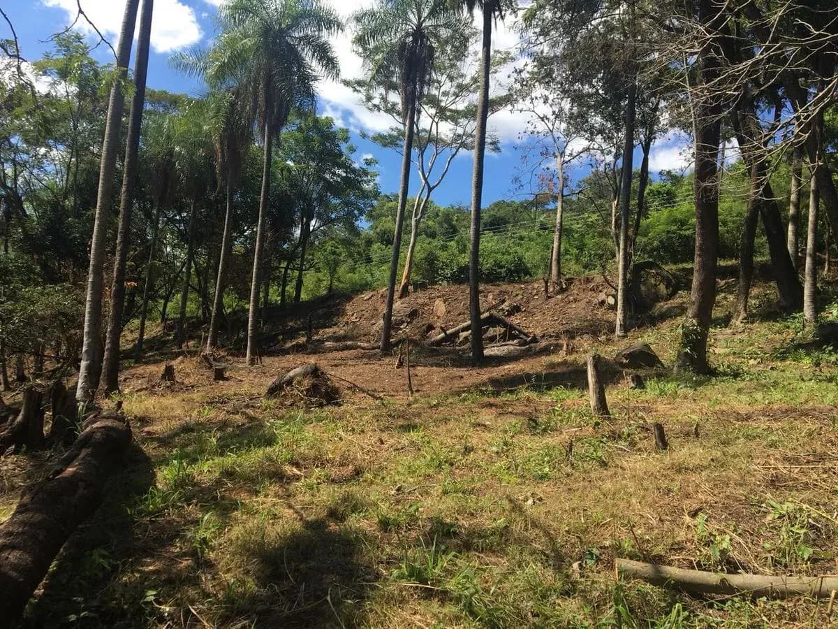 Terreno de 15.634m² à Venda em San Bernardino - Image 4