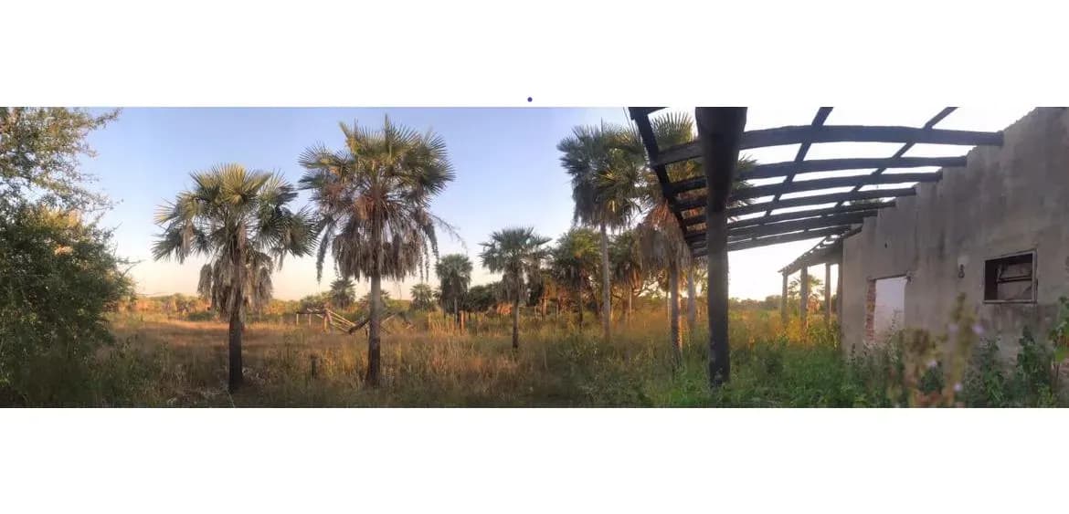 Land for Sale in Nueva Asunción - Image 3