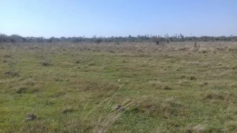 Terreno de 122m² en Venta en Coronel Oviedo - Image 3