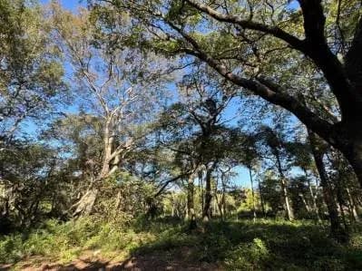 Terreno de 701.76m² en Venta en San Miguel, Areguá - Image 5