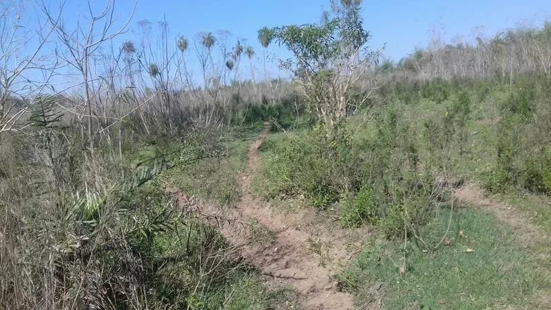 Terreno de 122m² en Venta en Coronel Oviedo