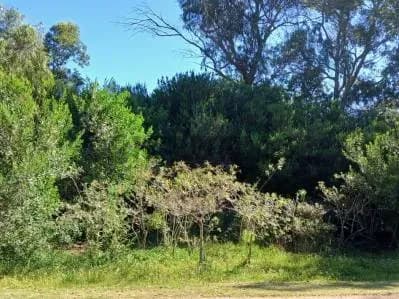 Terreno de 504m² en Venta en Barra del Chuy - Image 2