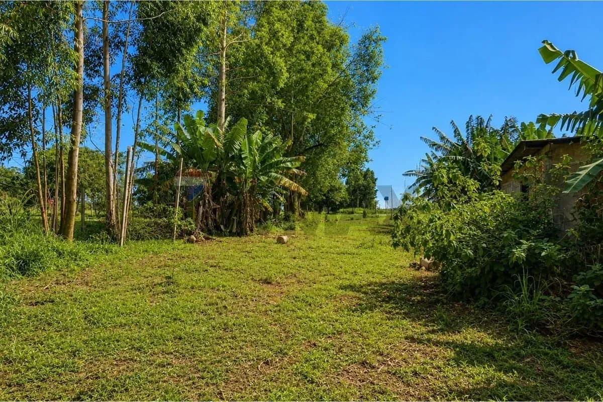 Terreno de 2.180 m² en Venta en San Francisco, Hernandarias - Image 7