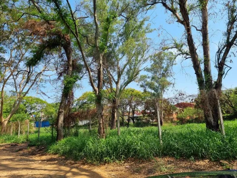 6,020m² Land for Rent in Laguna Satí, Fernando de la Mora - Image 4