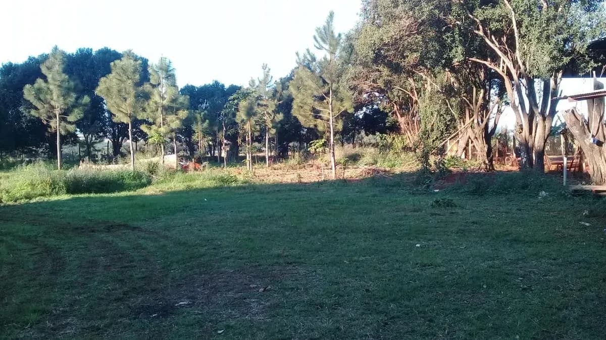 Terreno de 17m² à Venda em Arquitecto Tomás Romero Pereira - Image 11