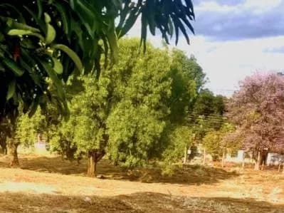 Terreno de 10,014m² à Venda em Arecayá, Mariano Roque Alonso - Image 2