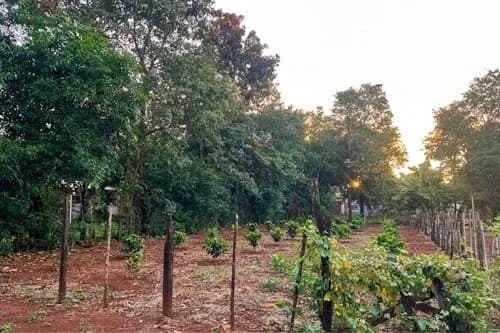 362m² Land for Sale in San Miguel, Presidente Franco
