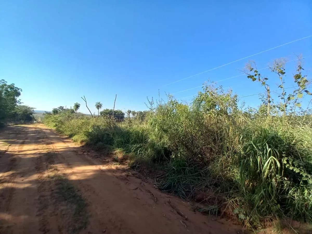 Land for Sale in Nueva Italia - Image 4