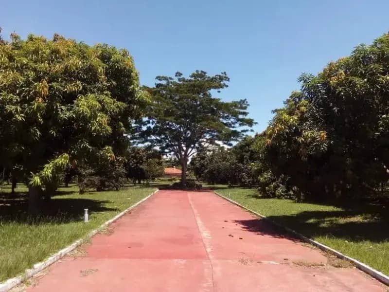 Terreno de 1,200m² en Venta en Itauguá - Image 3
