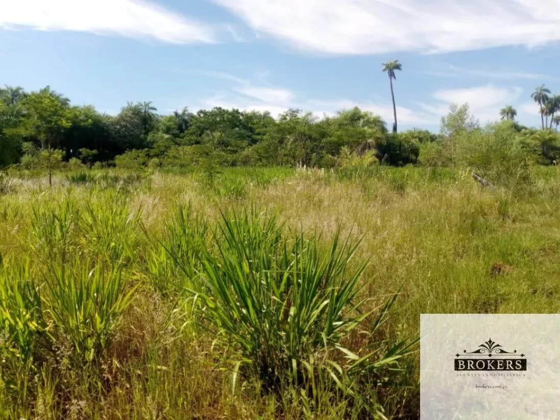 100,000m² Land for Sale in Ypacaraí