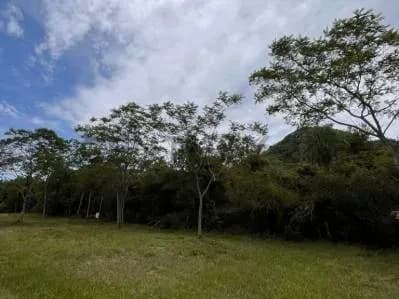 Terreno de 2.250m² à Venda em Paraguarí, Cidade de Arroyo Pora-Sub Urbano - Image 3