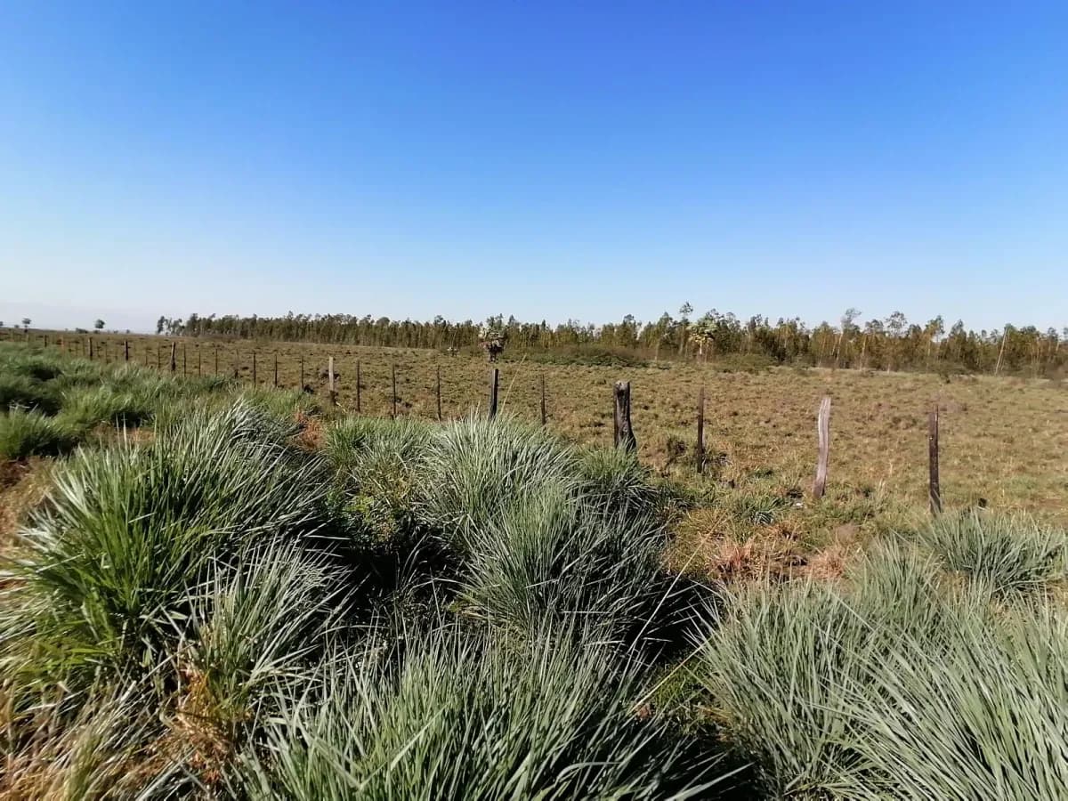 262m² Lot for Sale in Nueva Italia