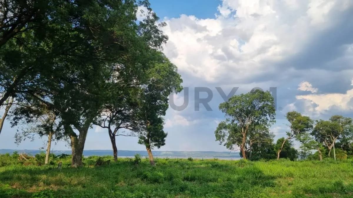 Terreno de 643.1m² en Venta en Estanzuela, Areguá - Image 6