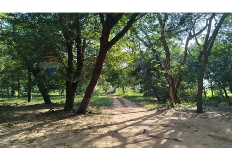 Terreno de 1,334m² en Venta en Estanzuela, Areguá - Image 5