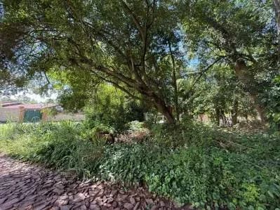 Terreno de 600m² en Venta en Santo Domingo, Areguá - Image 2