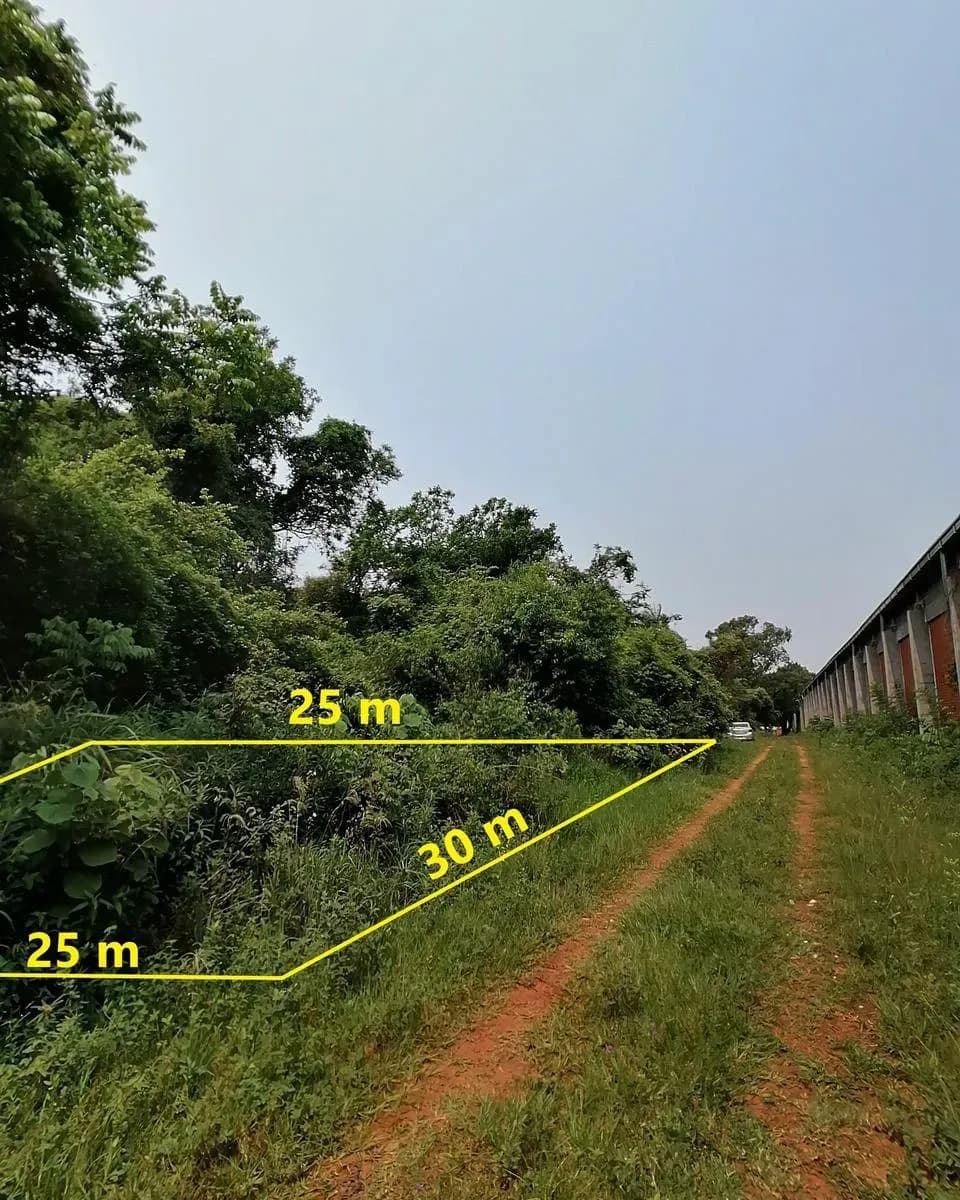 Terreno de 750m² en Venta en ALEX SA (Maquila de Motos), Luque - Image 6