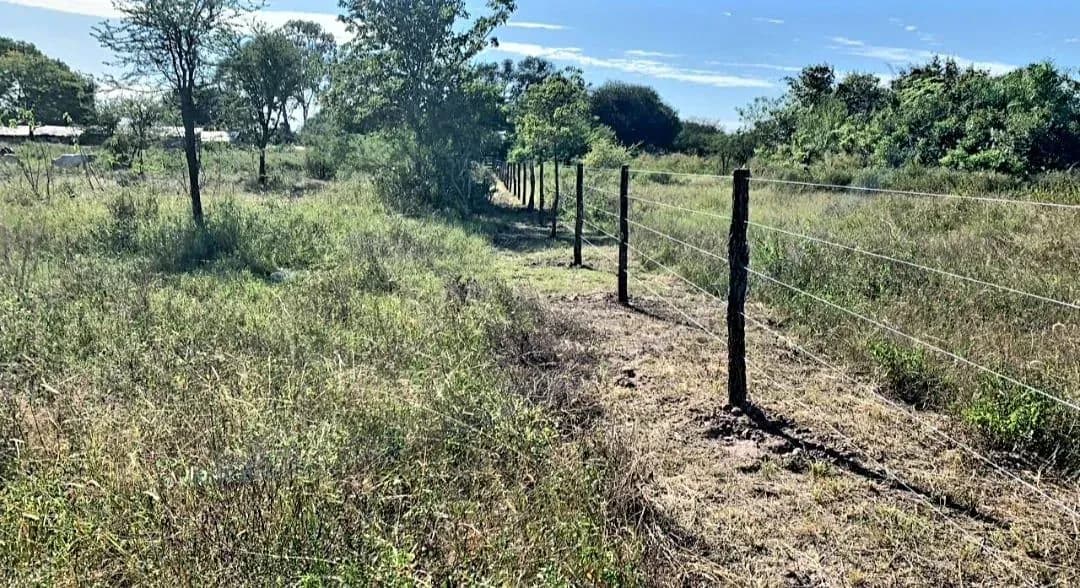 159m² Land for Sale in José Falcón - Image 2