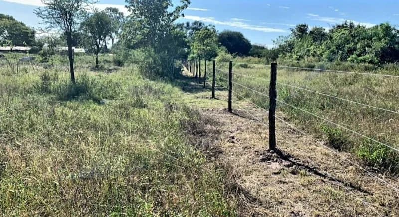 159m² Land for Sale in José Falcón - Image 2