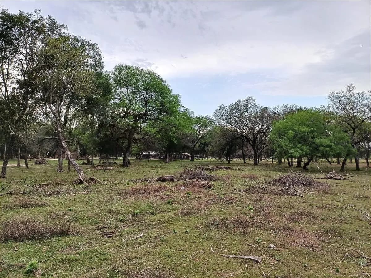Terreno en Venta en Nanawa - Image 6