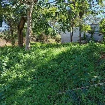 1,000m² Land for Sale in Campo Grande, Fernando de la Mora - Image 19