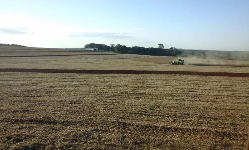 Terreno de 160m² en Venta en Yasy Cañy - Image 3