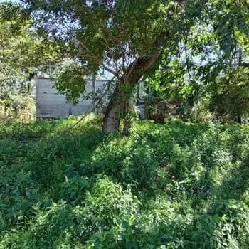 1,000m² Land for Sale in Campo Grande, Fernando de la Mora - Image 20