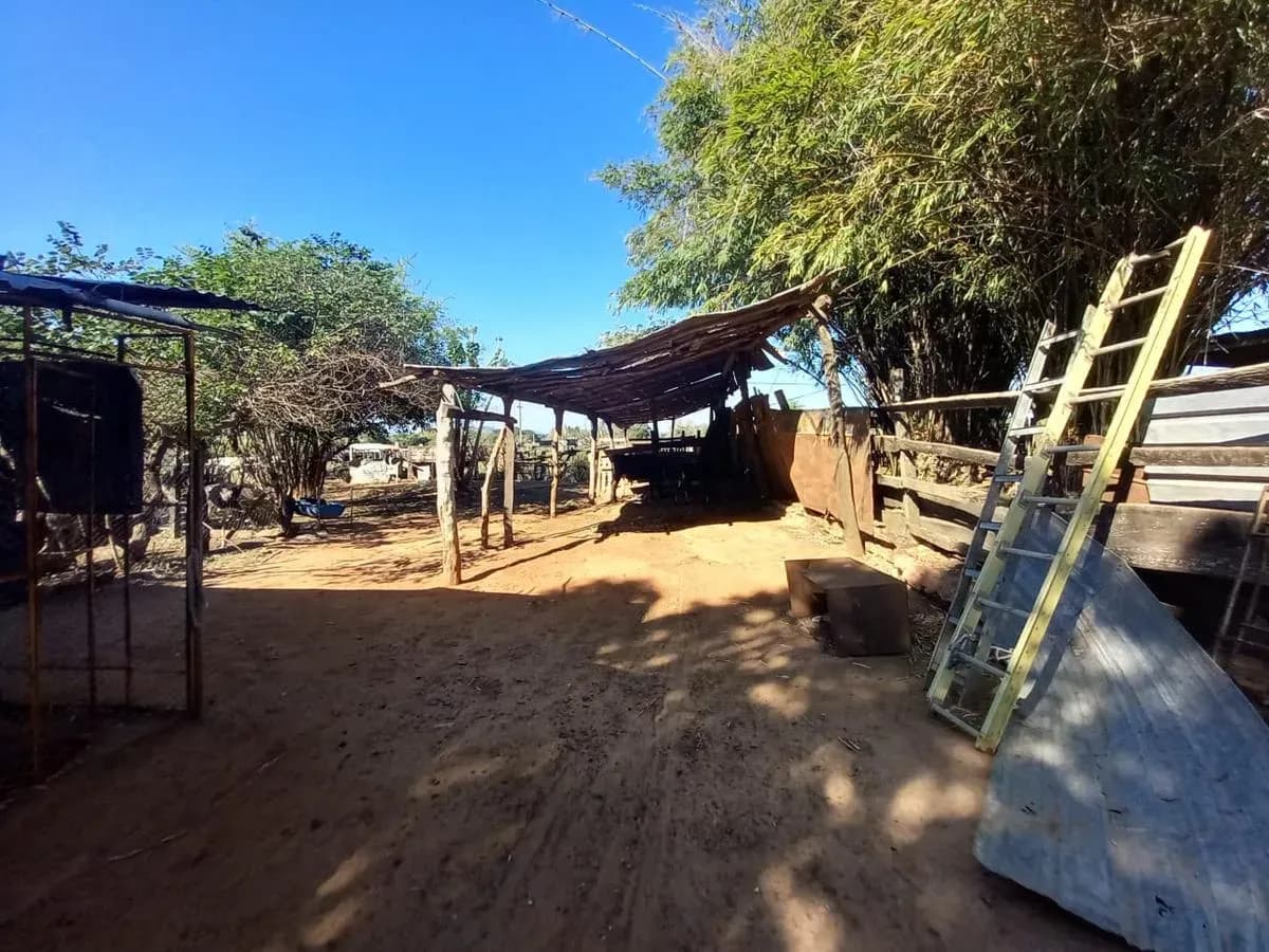 Land for Sale in Nueva Italia - Image 16