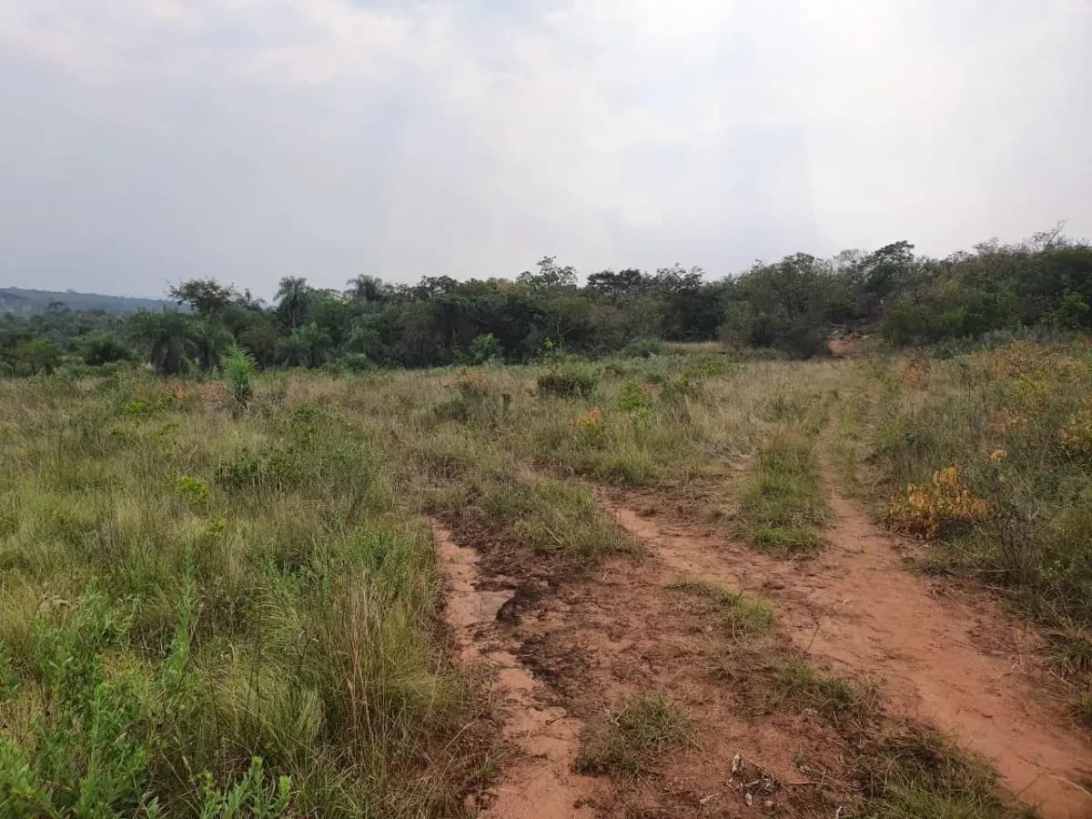 Terreno de 128,081m² en Venta en Limpio - Image 9