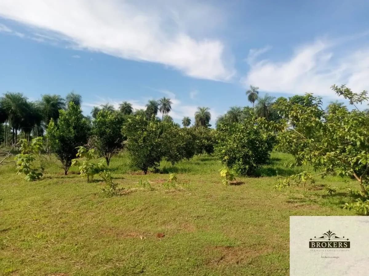 100,000m² Land for Sale in Ypacaraí - Image 14