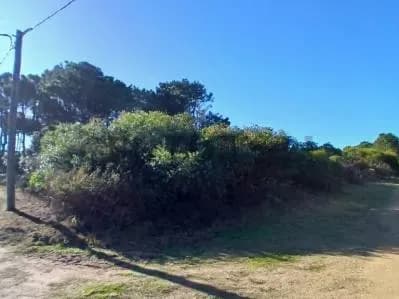 Terreno de 413m² en Venta en San Antonio, San Antonio - Image 5